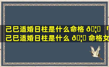 己巳适婚日柱是什么命格 🦋 「己巳适婚日柱是什么 🦈 命格女」